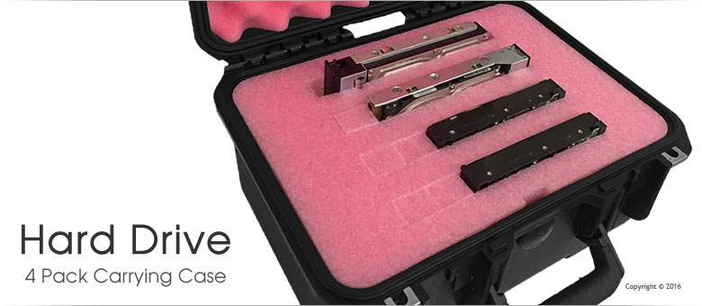Hard Drive Carrying Case 4 Pack