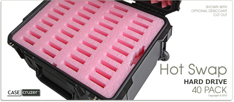 Hot Plug Hard Drive Case 40 Pack