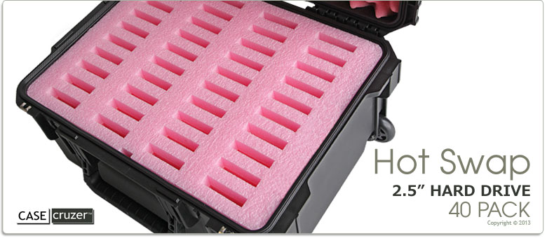 Hot Swap Hard Drive Case 40 Pack